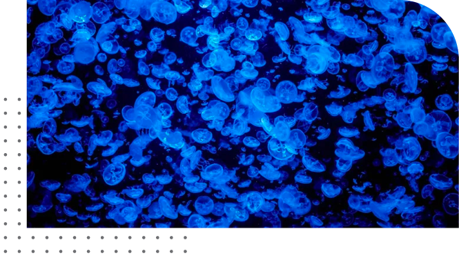Microscopic view of Aggregate Size