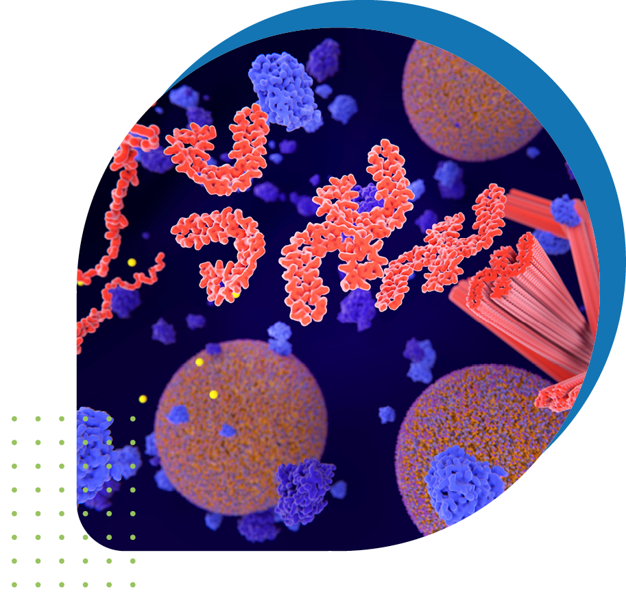 Image of cells from under the microscope view