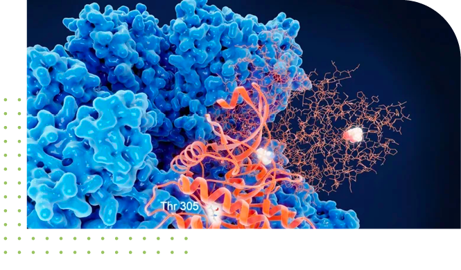 Microscopic view of Mechanism of Aggregation