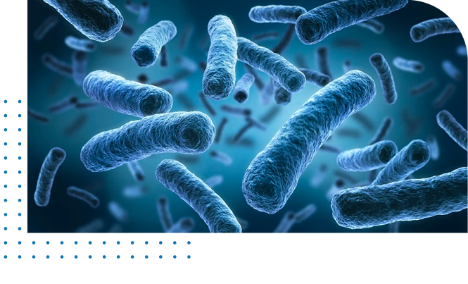blue Bacteria