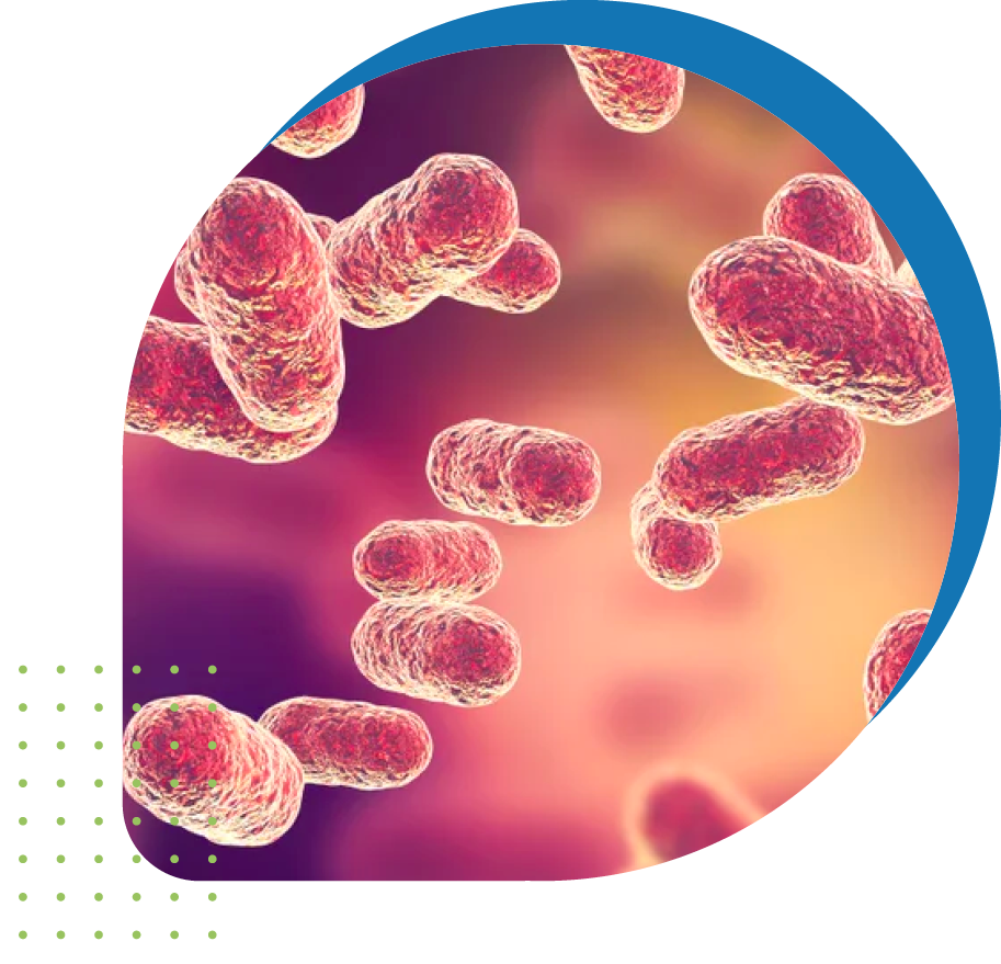 Microscopic view of bacteria Microscopic view of bacteria