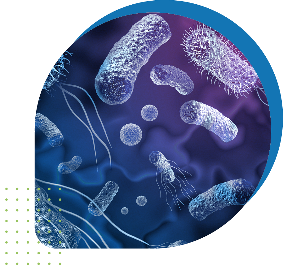 Microscopic view of cells Microscopic view of cells