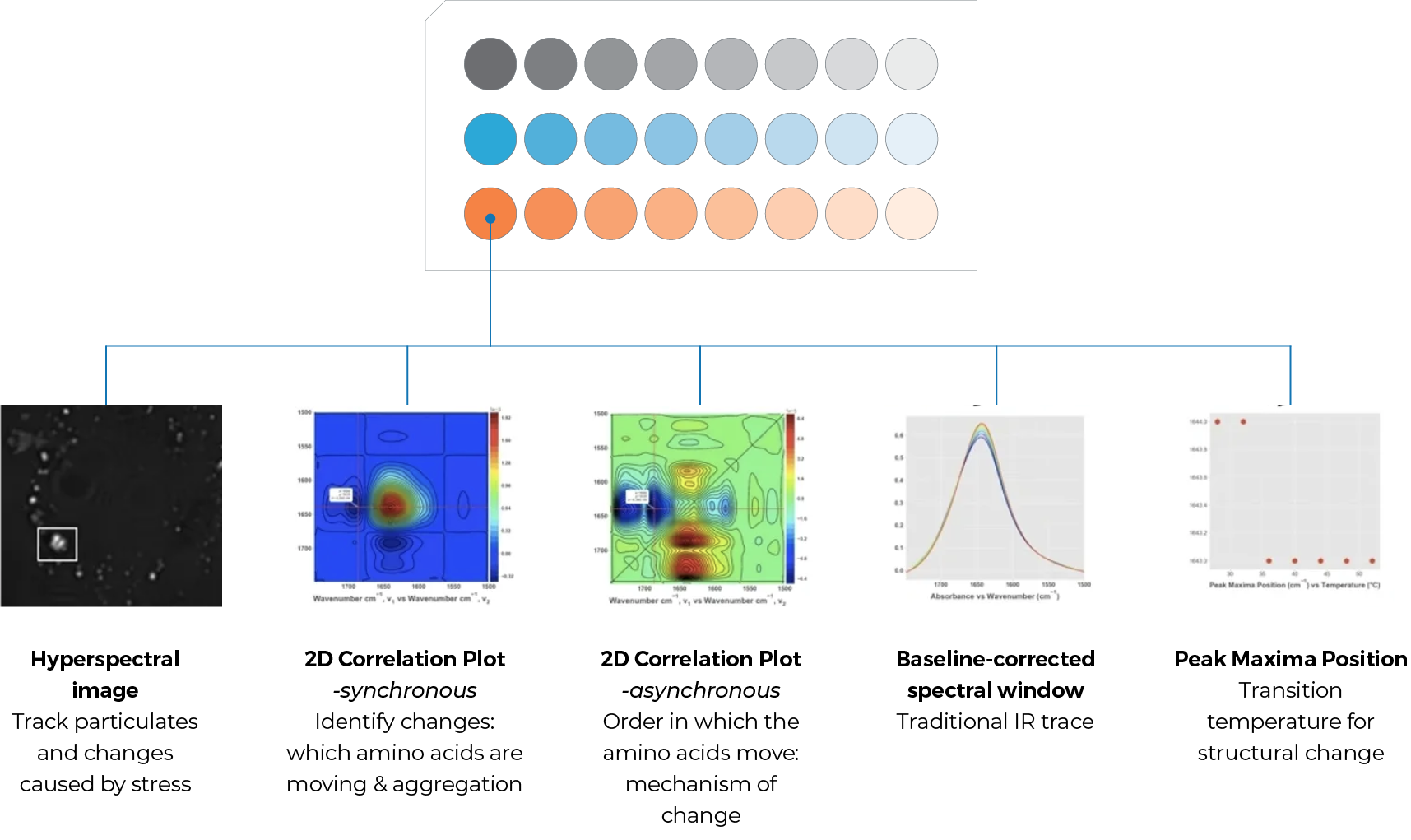 Data Richness Data Richness